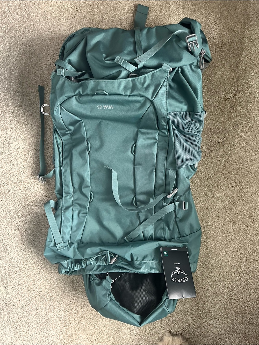 OSPREY VIVA 65 Backpack in Teal Green